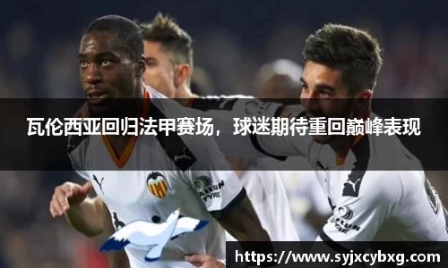 瓦伦西亚回归法甲赛场，球迷期待重回巅峰表现