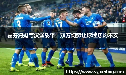 霍芬海姆与汉堡战平，双方均势让球迷焦灼不安