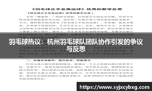 羽毛球热议：杭州羽毛球队团队协作引发的争议与反思