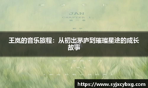 王岚的音乐旅程：从初出茅庐到璀璨星途的成长故事
